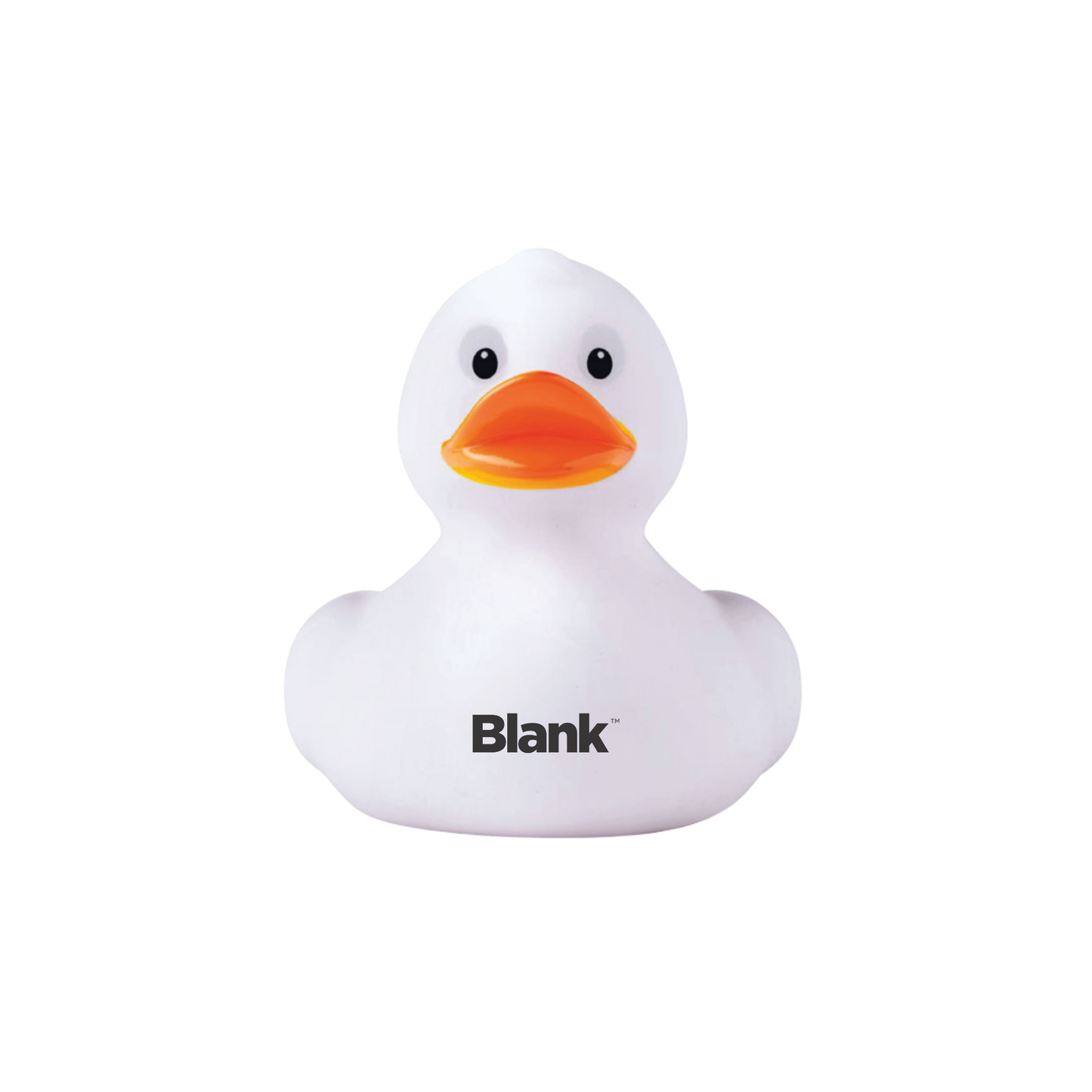 Blank Maternity InspiraPack